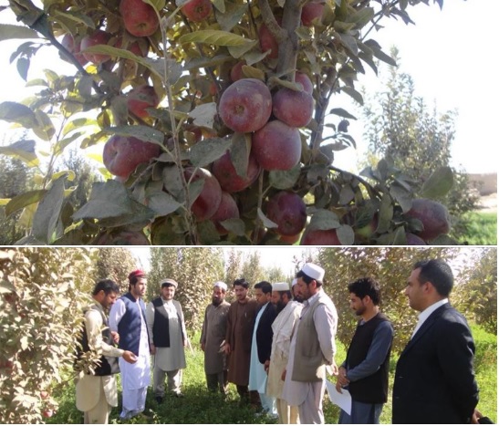 Exposure Visit in Paktika